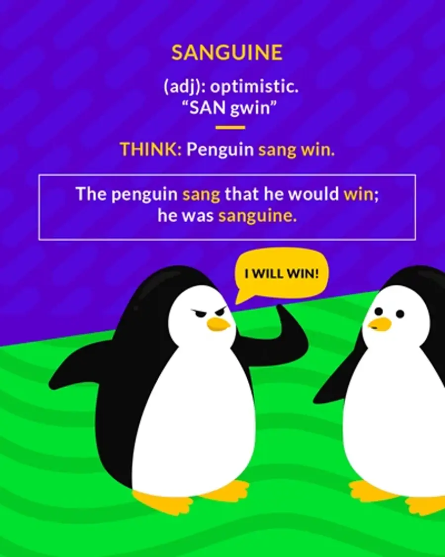 Sanguine, Adj: optimistic SAN gwin